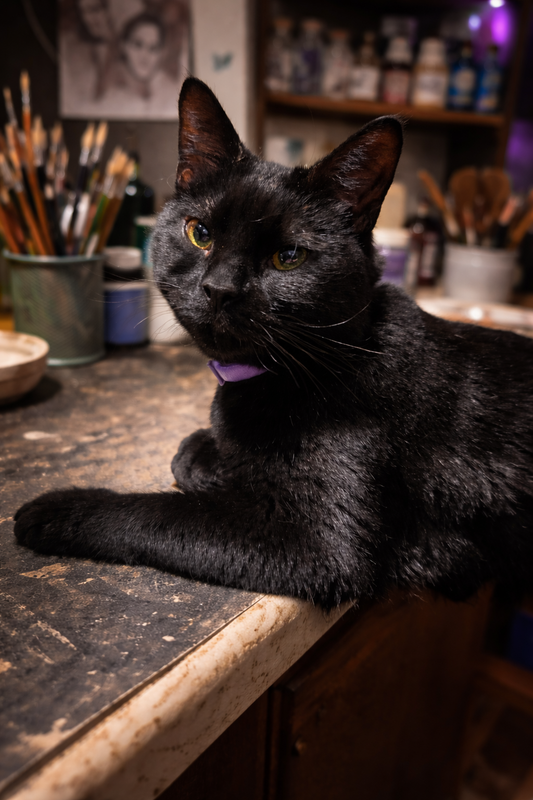 Studio Supervisor: Nior 🐈‍⬛